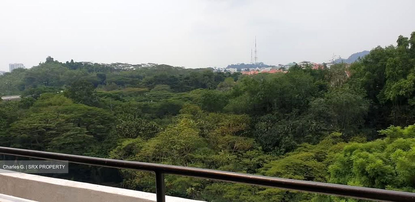 Clementi Park (D21), Condominium #581234671